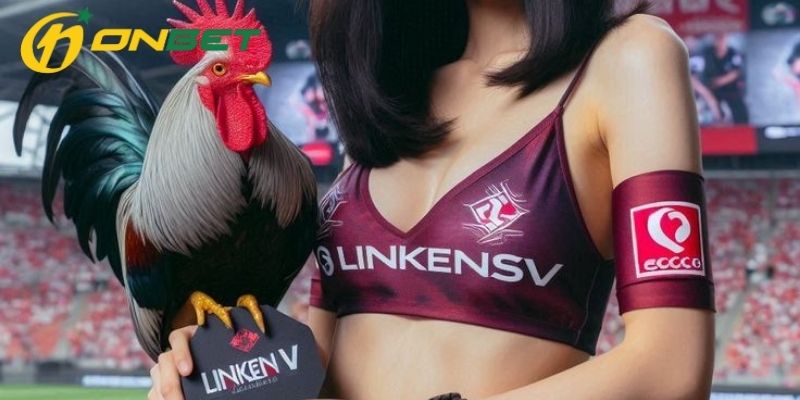 Lý do đá gà ONBET thu hút đông đảo kê thủ tham gia