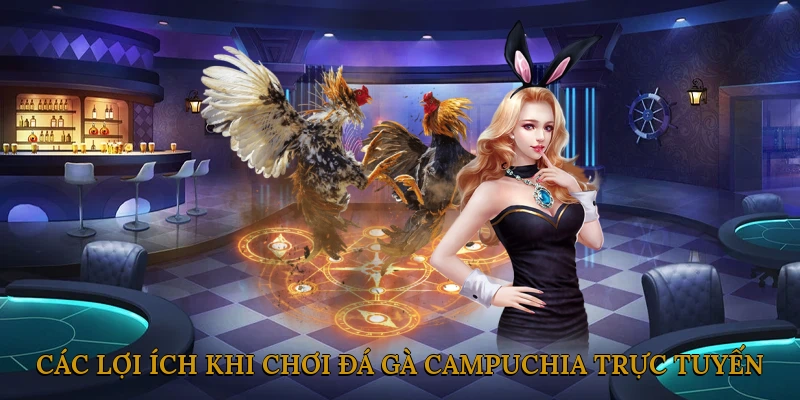 Các Lời Khuyên Hữu Ích Khi Chơi Đá Gà Campuchia Trực Tuyến