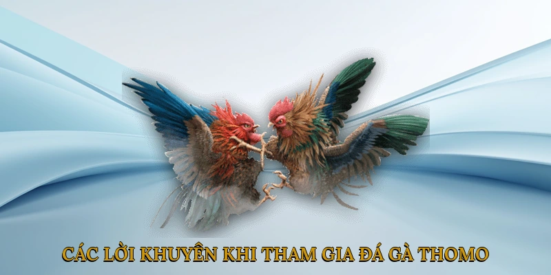 Các lời khuyên khi tham gia đá gà thomo trực tiếp