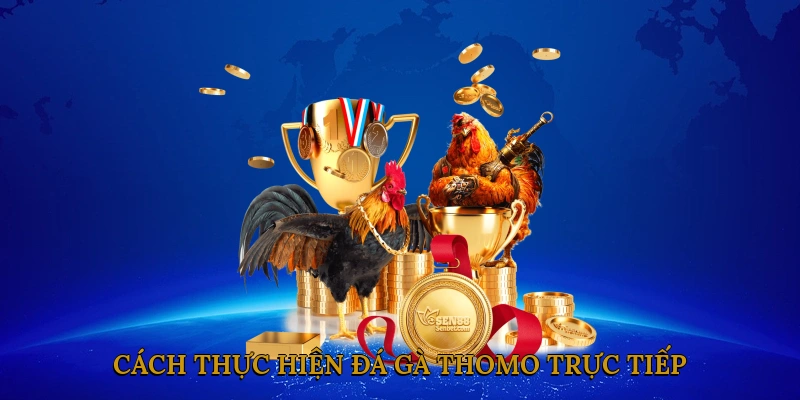 Cách thực hiện đá gà thomo trực tiếp