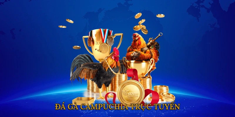 Đá gà campuchia trực tuyến