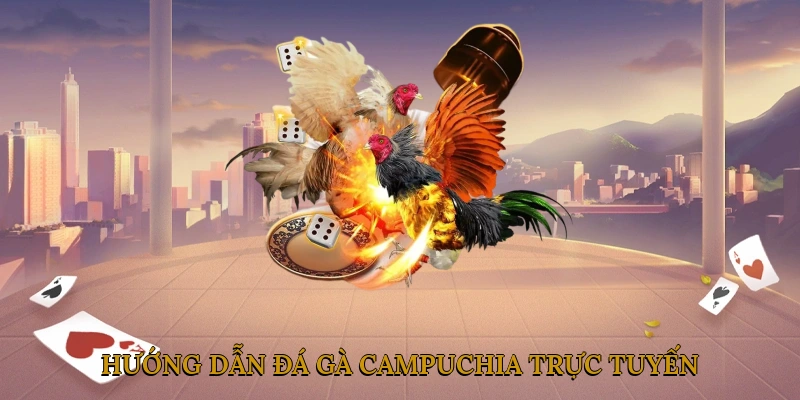 Hướng Dẫn Đá Gà Campuchia Trực Tuyến