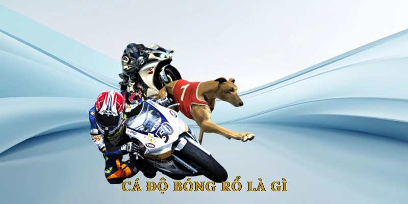 Cá Độ Bóng Rổ Là Gì? Tại Sao Lại Hấp Dẫn Người Chơi?