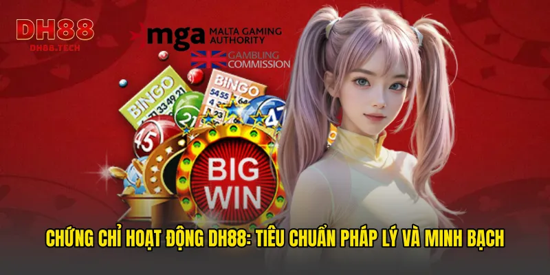 Chứng chỉ hoạt động DH88: Tiêu chuẩn pháp lý và minh bạch